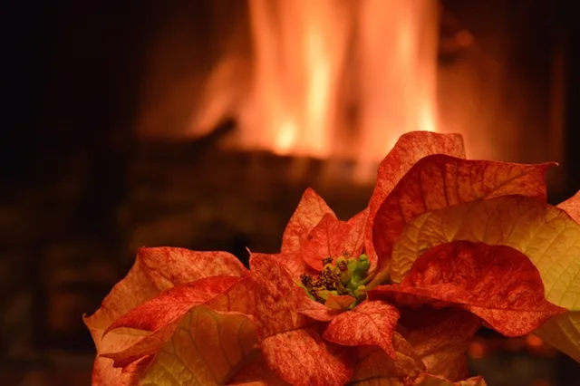 Christmas 128