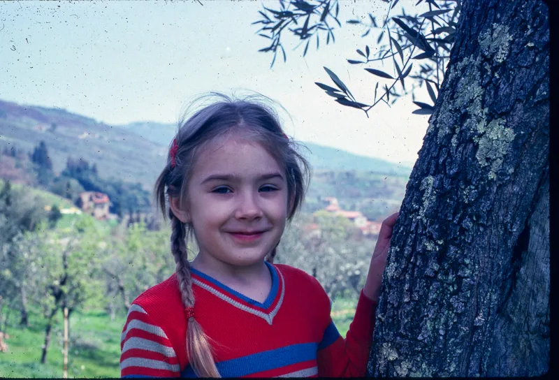 S80-07 Olive Tree03 003