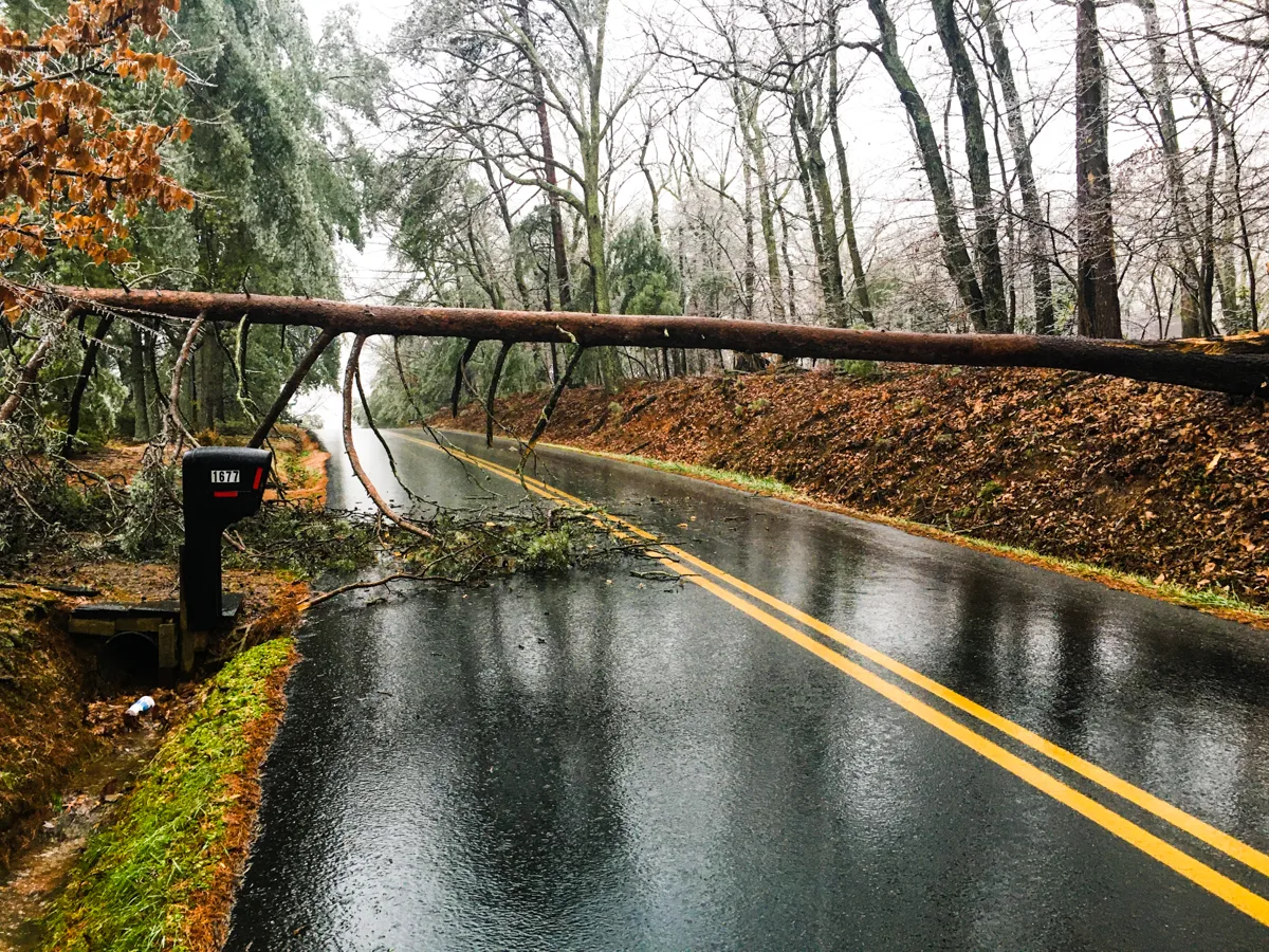 log_across_our_path