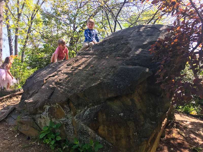 The_Rock