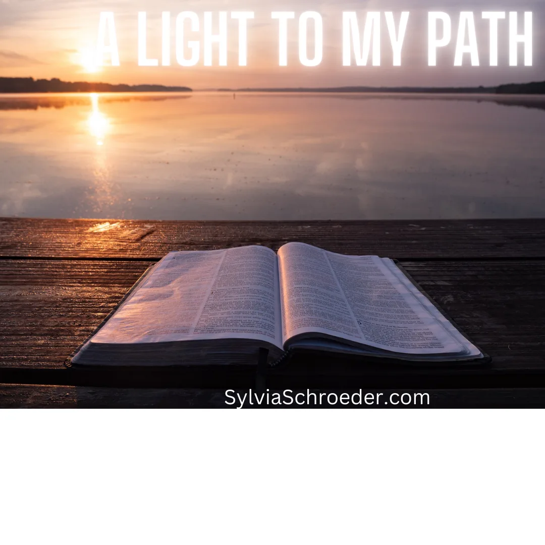 A light to my path