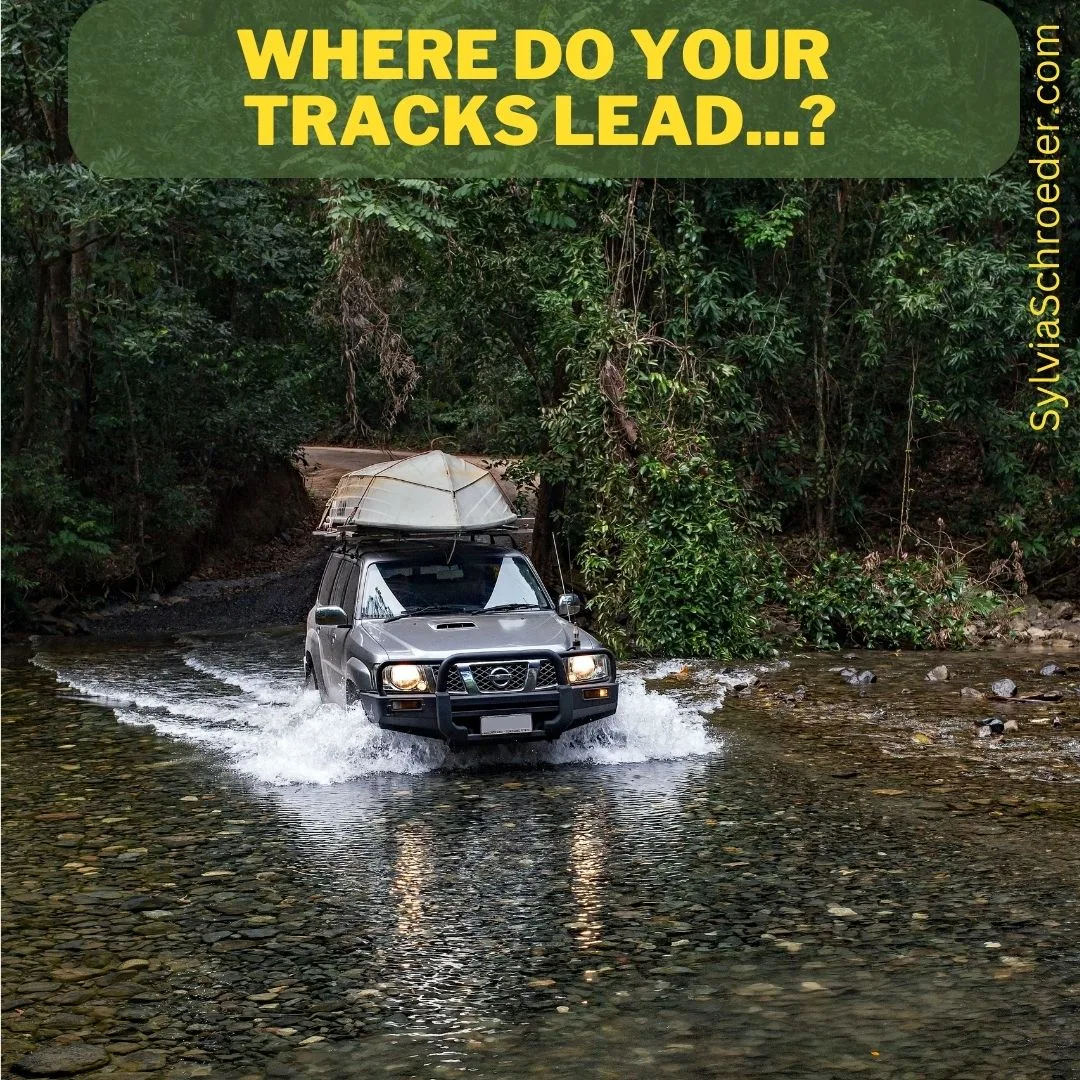 Where do your tracks lead...