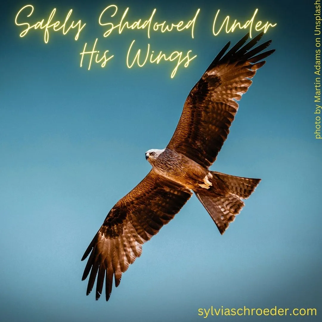 Safely Shadowed Under His Wings