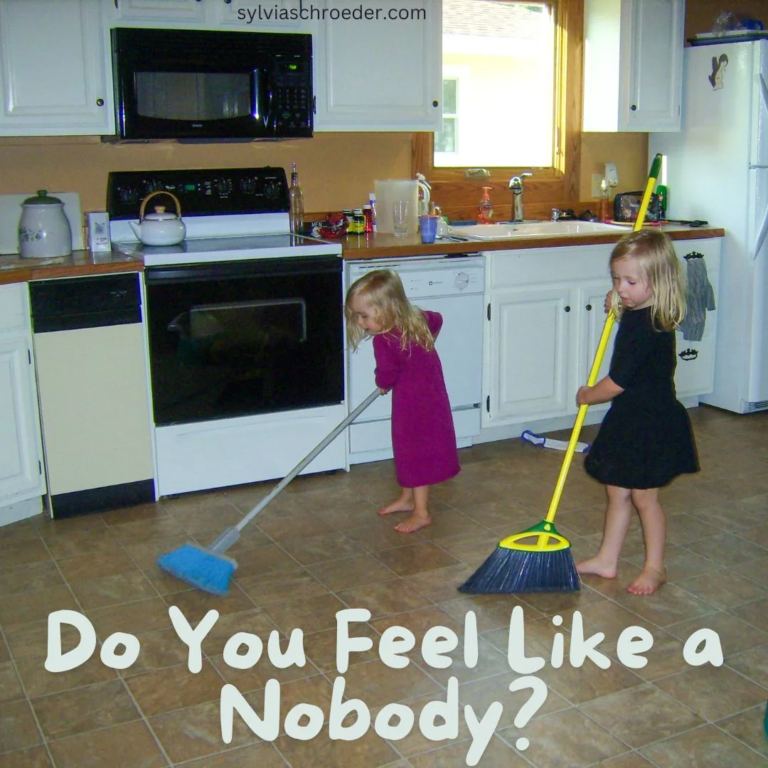 Do You Feel Like a Nobody