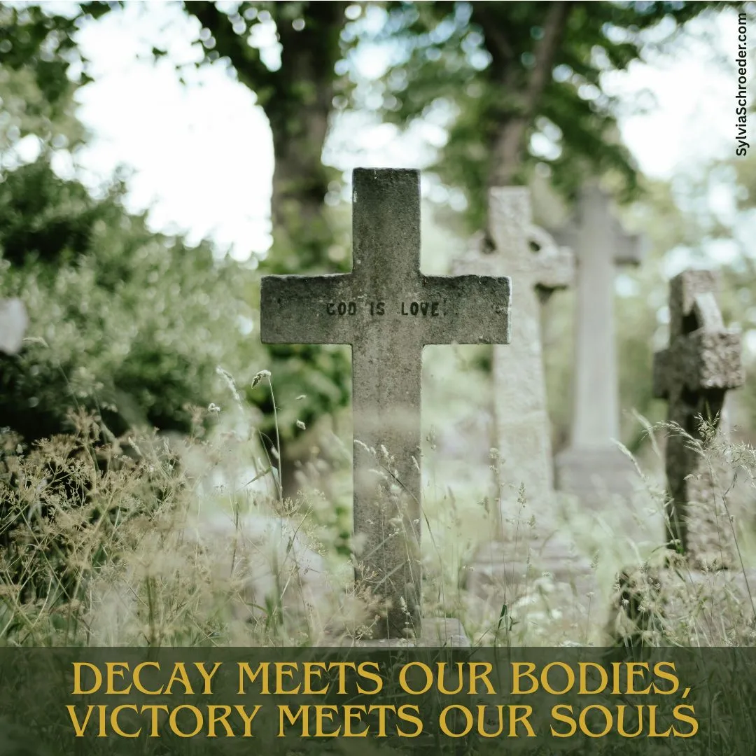 Decay Meets Our Bodies, Victory Meets Our Souls