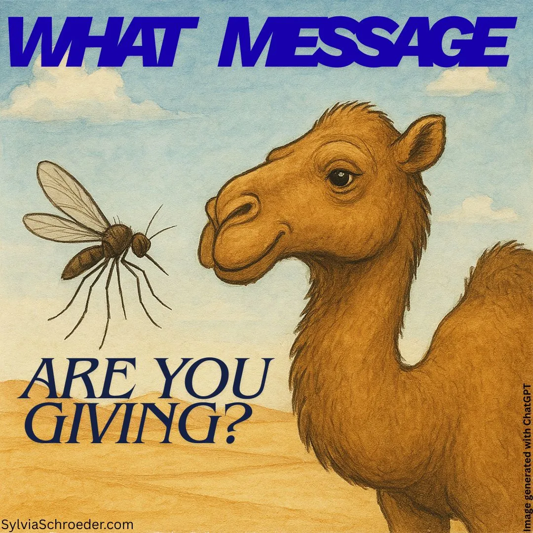 Gnat and Camel in the Desert