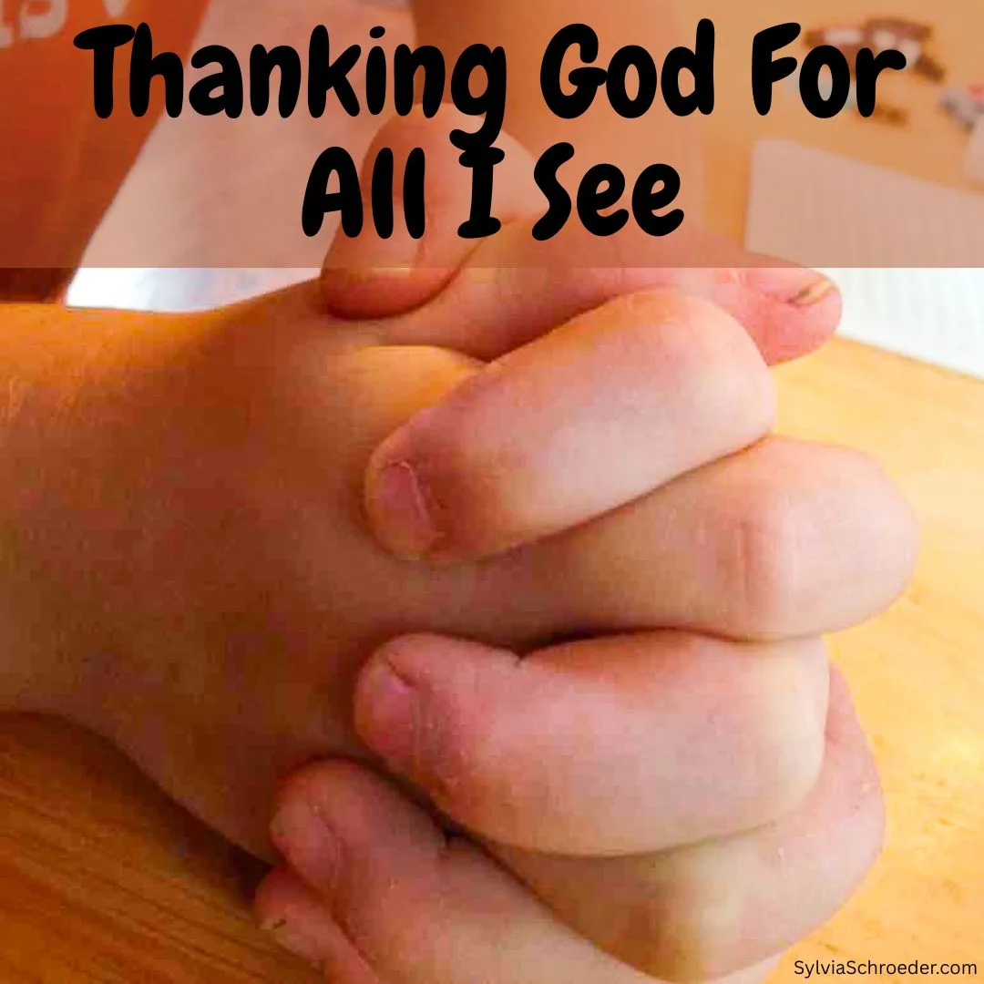 Thanking God For All I See