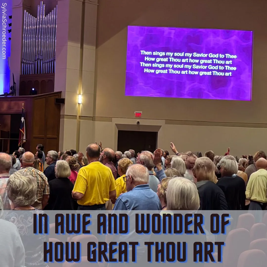 In Awe and Wonder of How Great Thou Art2